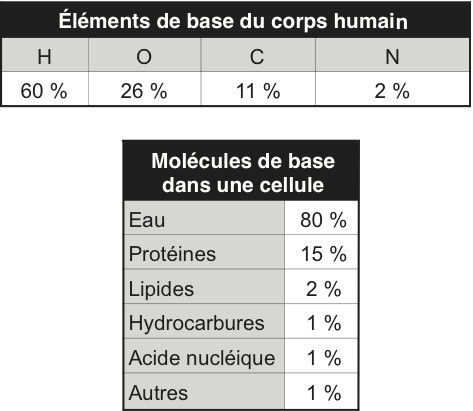 cellule