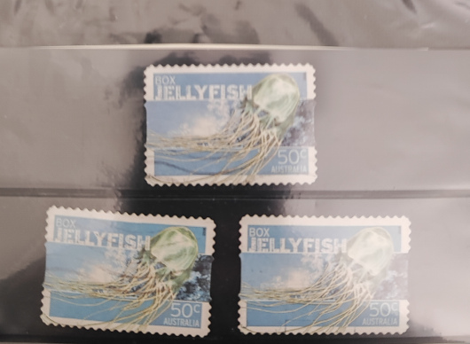 timbres-meduse-boite